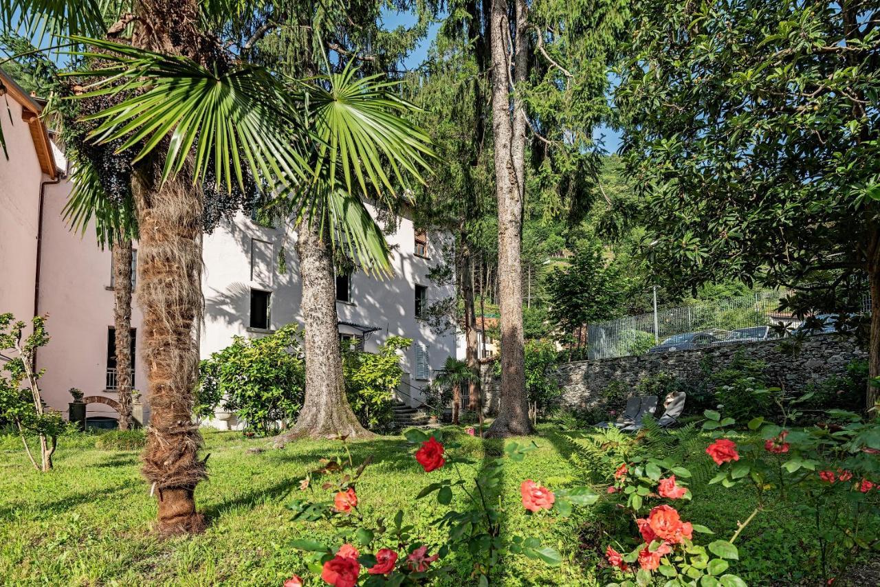 B&B Villa Rosalinda Dongo Buitenkant foto