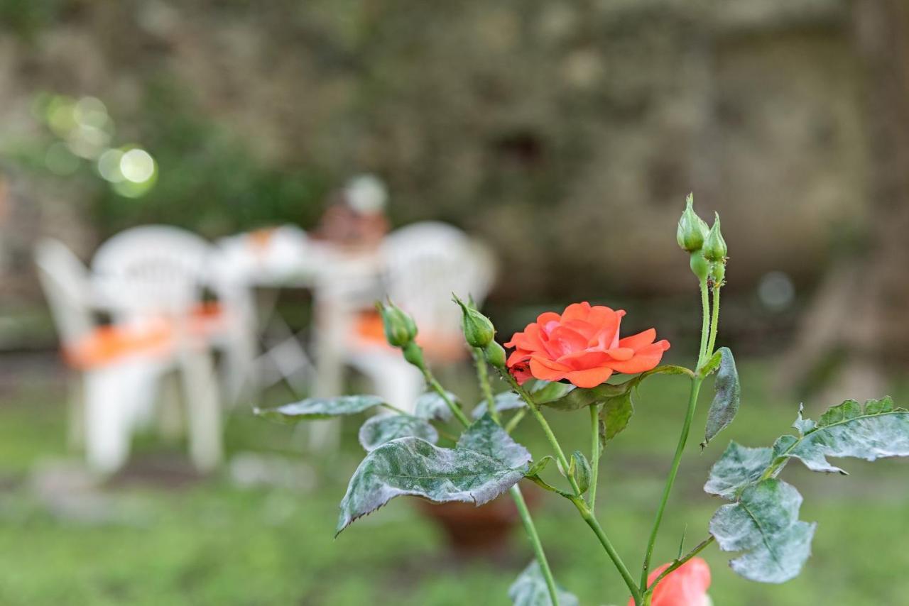 B&B Villa Rosalinda Dongo Buitenkant foto